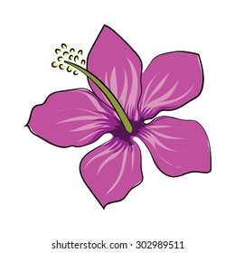 Hibiscus Hand Drawn Vector Illustration 