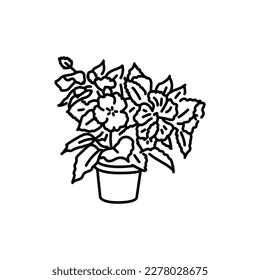 Hibiscus houseplant black line icon. Indoor decorative plant. Pictogram for web page, mobile app, promo.