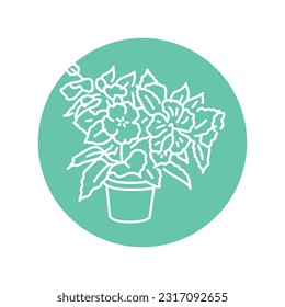 Hibiscus houseplant black line icon. Indoor decorative plant. Pictogram for web page, mobile app, promo.