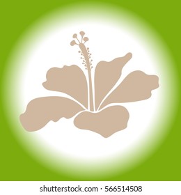 Hibiscus icon can be used for wallpaper, website background, wrapping paper. Natural single beige and green hibiscus flower. Summer design, vector flower concept, isolated flower.