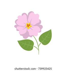 Hibiscus icon on the white background. Vector illustration.