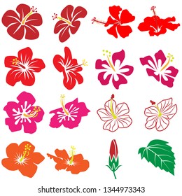 Hibiscus icon set color