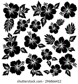 Hibiscus illustration