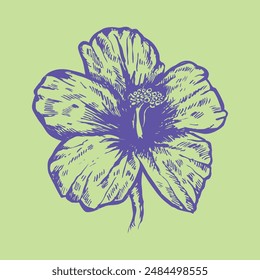 hibiscus illustration and refreshing blue mage of southern country and hawaii and tropical image apparel, textile printing