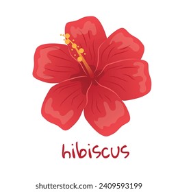 Hibiscus illustration. Vibrant red tropical flower. Realistic botanical hand drawn painting isolated on white background. Cartoon design for poster, icon, card, logo, label, banner, sticker