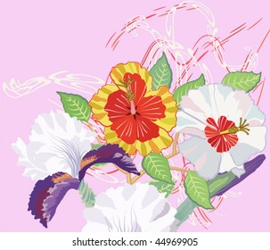 Hibiscus and Iris on a Pink Background
