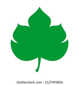 Hibiscus leaf illustration vector design