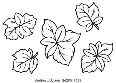 Hibiscus Leaf Line Art Intricate Design for Artistic Expression (1)
