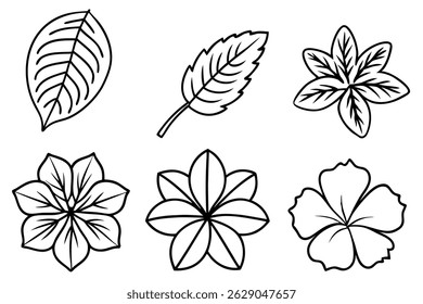 Hibiscus Leaf Line Art Intricate Design for Artistic Expression (2)