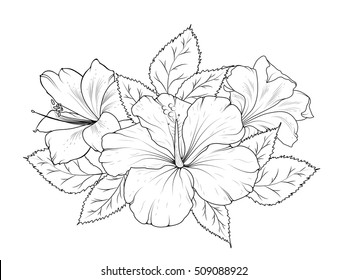 Hibiscus and lily flowers bouquet garland composition. Isolated black and white detailed vector design sketch drawing. Bunch of spring summer flowers. Botanical illustration.