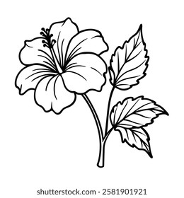 Hibiscus line art vector with flower stalks on white background