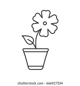 Hibiscus linear icon. Indoor decorative plant thin line illustration. Flower in flowerpot contour symbol. Vector isolated outline drawing