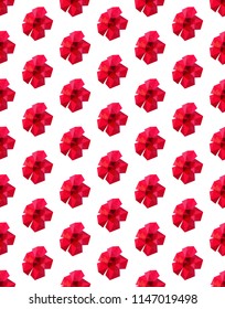 hibiscus low-polygonal triangulation pattern EPS 10