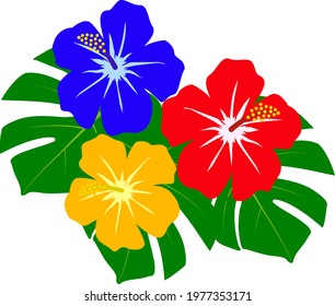 Hibiscus and Monstera illustration　no background