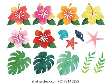 Hibiscus and Monstera icons watercolor