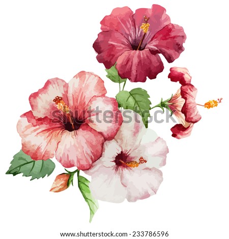 hibiscus, object, painting