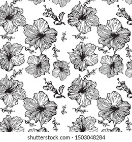Hibiscus on a white background, vector image with flowers