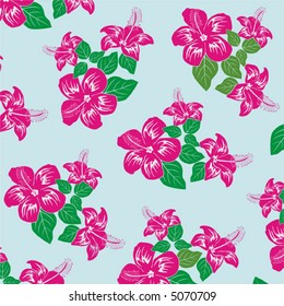 Hibiscus.  Ornament.