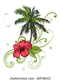 Hibiscus and palm