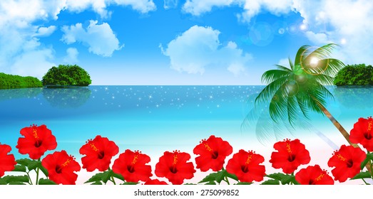 Hibiscus palm background