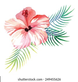 hibiscus and palm leaves watercolor illustration