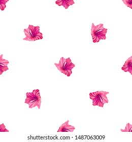 Hibiscus pattern. Tropic palm leaf. Seamless background