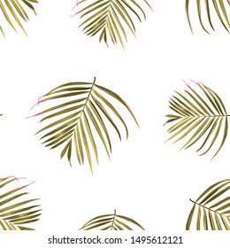 Hibiscus pattern. Tropic palm leaf. Seamless background