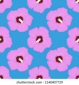 Hibiscus. Pink floral seamless pattern on blue background. Vector illustration
