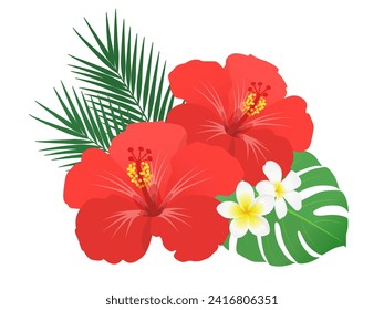 Hibiscus plumeria decoration vector illustration