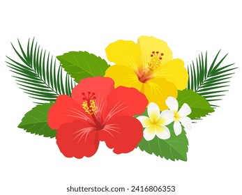 Hibiscus plumeria decoration vector illustration