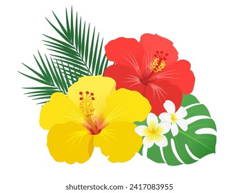 Hibiscus plumeria decoration vector illustration