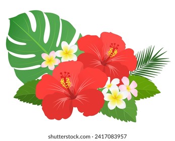 Hibiscus plumeria decoration vector illustration