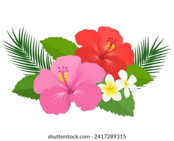 Hibiscus plumeria decoration vector illustration