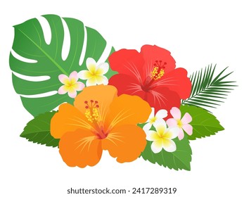 Hibiscus plumeria decoration vector illustration