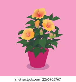 hibiscus in a pot vector clip art