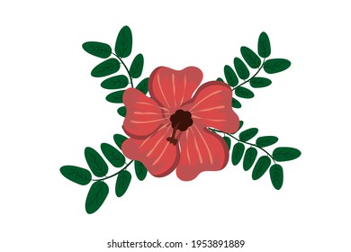 Hibiscus red flower with green leaves