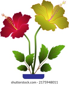 Hibiscus red and yellow vector design