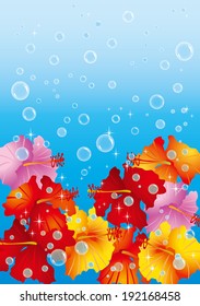Hibiscus and refreshing sea