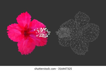 Hibiscus rosa sinensis in geometric polygon style vector in black background