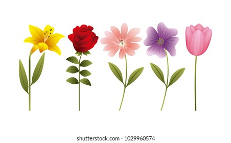 hibiscus rose daisy tulip flowers decoration banner
