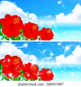 Hibiscus sea landscape
