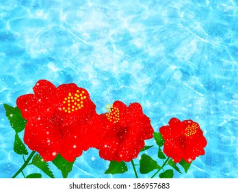 Hibiscus sea landscape