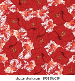 Patrón vectorial sin fisuras de Hibiscus, flor tropical 