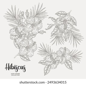 Hibiscus set. Hand drawn Hibiscus rosa-sinensis. Tropical flowers and palm leaves. Vector illustration in sketch style.