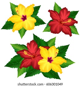 Hibiscus (shoe flower, china rose). Set of hand drawn vector illustrations  on white background.