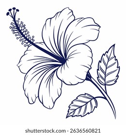 Hibiscus silhouette vector on white background