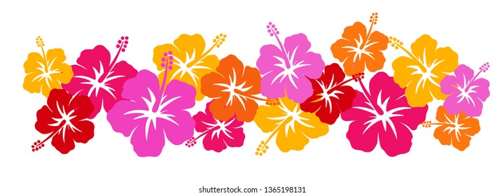 Hibiscus southern country image