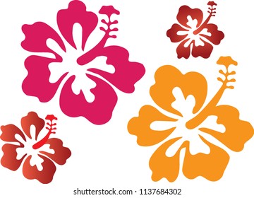 hibiscus stylized drawing