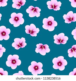 Hibiscus syriacus - Rose of Sharon on Indigo Blue Background. Vector Illustration.
