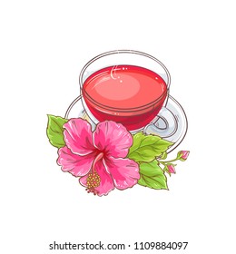 hibiscus tea illustration